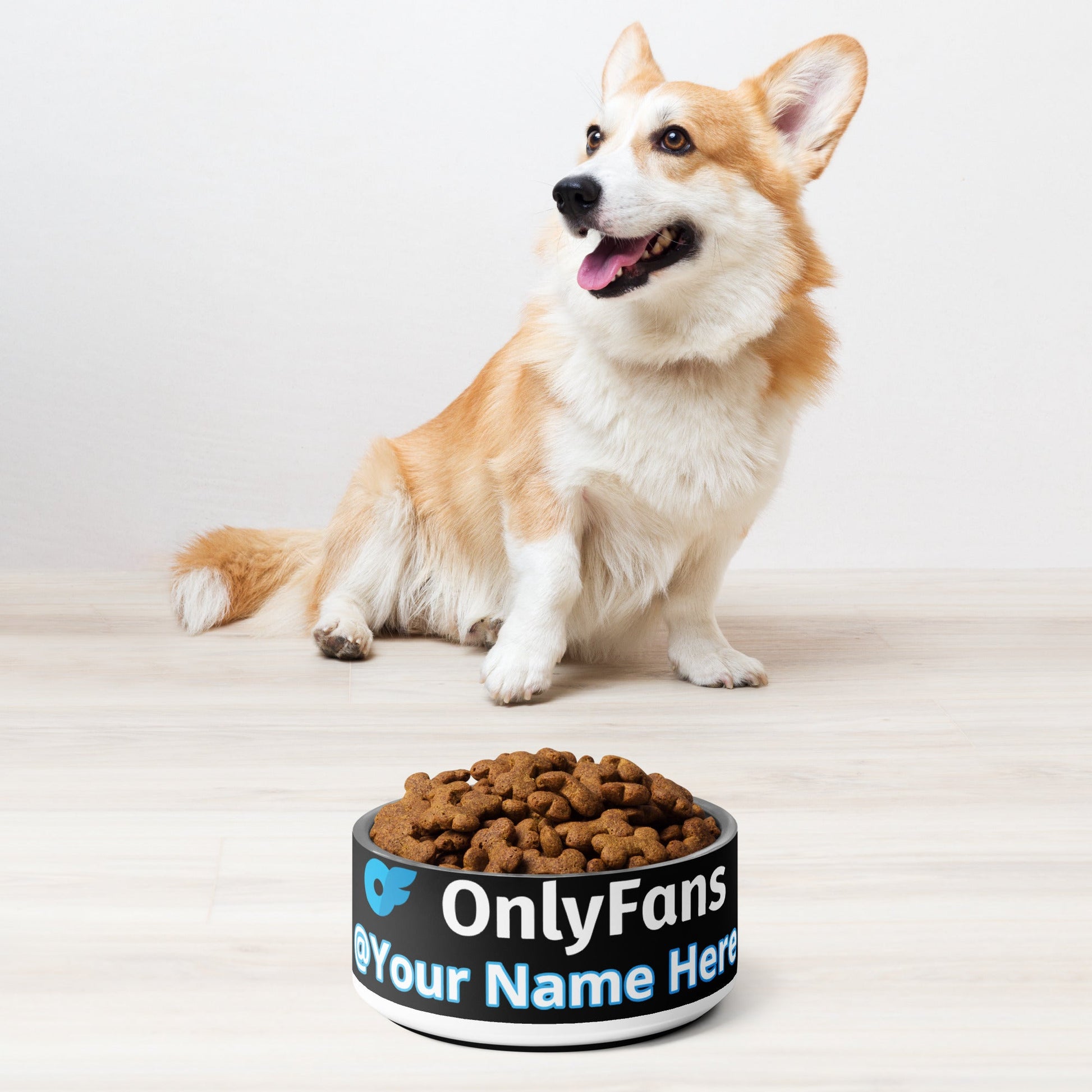 Onlyfans Personalized Custom Stainless Steel Pamper Your Pet's Palate with Pleasure: Onlyfans Exclusive Custom Pet Bowl Attire T LLC