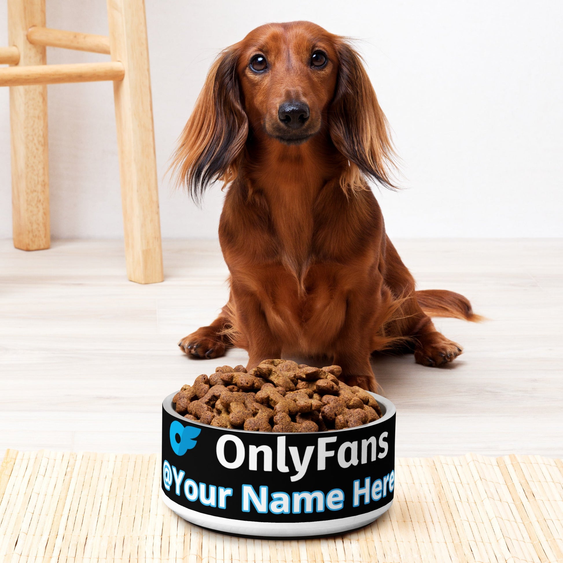 Onlyfans Personalized Custom Stainless Steel Pamper Your Pet's Palate with Pleasure: Onlyfans Exclusive Custom Pet Bowl Attire T LLC
