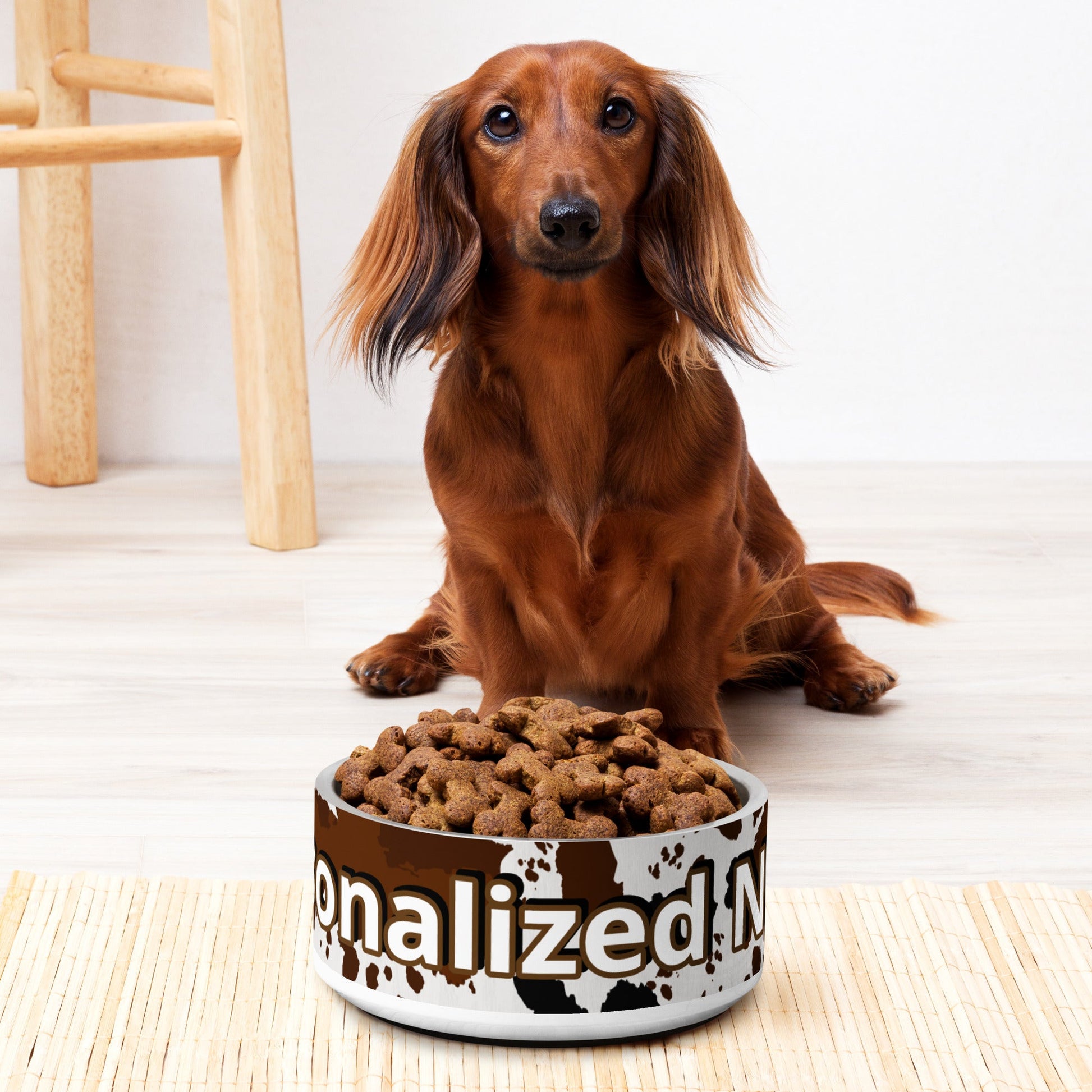 Custom Personalized Dog | Cat  Luxury Bowl | Stainless Steel Paws & Pleasure: Your Pet's VIP Dining Experience Starts Here! Attire T LLC